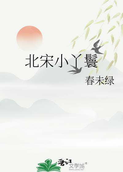 北宋小丫鬟txt百度